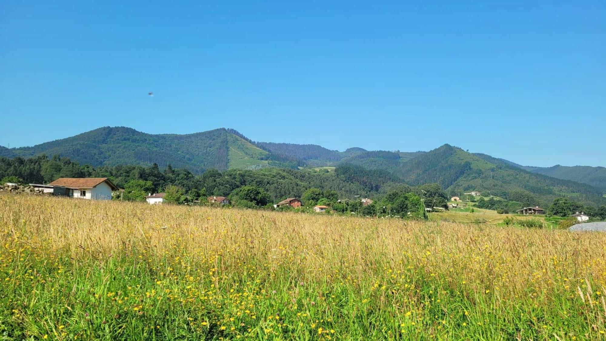 Hotel Aldori Landetxea - Reserva De La Biosfera Urdaibai - Adults Only Muxika Buitenkant foto